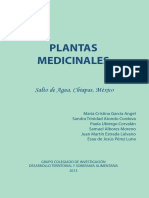 PLANTAS MEDICINALES Salto de Agua Chiapa