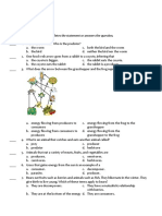 Food Web Quiz 14 1jt11vo