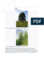 PDF Tree