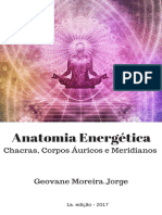 Anatomia Energética Chacras, Corpos Áuricos, Meridianos, Canais