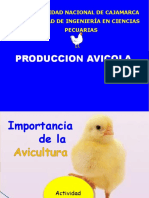 Clase 1. Importancia de La Avicultura 22