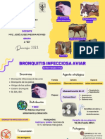 Bronquitis Infecciosa Aviar, Pasteurolosis Bovina, Paratuberculosis, Gurma, Rinotraqueitis Infecciosa Bovina