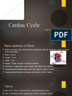 Cardiac Cycle