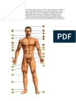 Puntos Debiles Del Cuerpo Humano