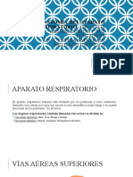 Anatomía Del Aparato Respiratorio