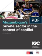 Mozambique Case Study