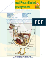 Chickenanatomyphysiology 140119134735 Phpapp02