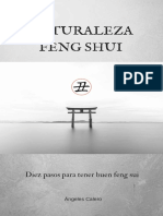 Diez Pasos para Tener Buen Feng Shui