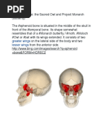 Sphenoid