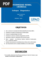 Enfermedad Renal Cronica 12