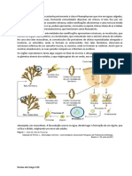 Ficha de Trabalho (Fucus) - Soluções