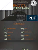 Sector Penitenciario