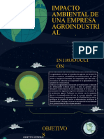 Impacto Ambiental de Una Empresa Agroindustrial