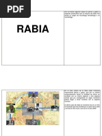 Rabia