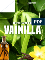 Vaiinilla