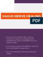 Vagus Nerve Healing Lecture