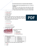 Bank Soal Pas Xi Biologi Tipe 1