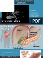 Vías Biliares