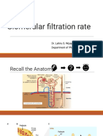 Glomerular Filtration Rate