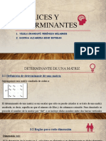 Matrices y Determinantes