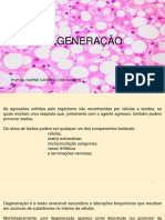 DEGENERAÇÃO