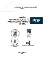 Feijão No Rs - Recomendações Técnicas