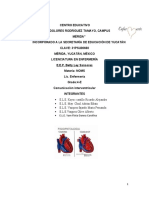 PAE Comunicacion Interventricular NOMS 2