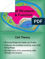 Cell Structure Function