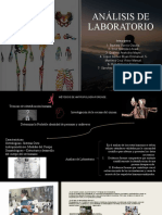 Presentacion ANALISIS DE LABORATORIO