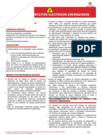 Anexo 01 Hoja Resumen de Trabajo en Circuitos Electricos Energizados - v.02