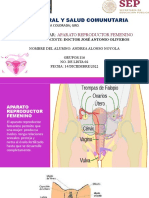 Aparato Reproductor Femenino 1.1