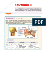 Los Sentidos II para Quinto Grado de Primaria