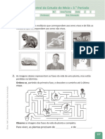 Estudo Do Meio 1 Fichas de Avaliação Plim