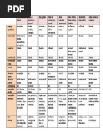 Cuadro Resumen Tipos de Afasia