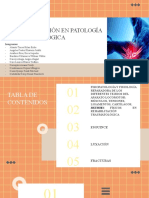 Seminario - Rehabilitación en Patologia Traumatologica - F