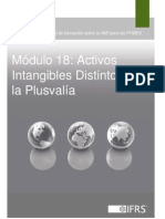 18 Activos Intangibles Distintos de La Plusvalia