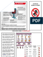 Tríptico Efectos Del Alcohol Al Volante