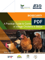 IICA-Biosecurity Field Manual - For Village Chickens - VG