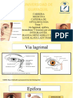 Tema 7-Via Lagrimal-Epifora-Quemaduras y Lesiones Por Causticos-.