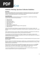 49 Anatomic Pathology Guidelines