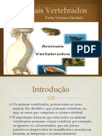 Animais Vertebrados