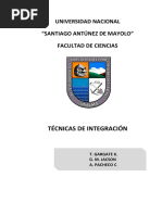 Manual Tecnicas de Integracion