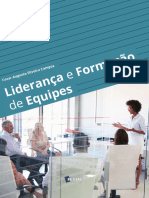 Lideranca e Formacao de Equipes