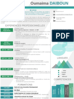 CV Formation À Modifier (Enregistrement Automatique)