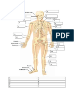 Tugas Anfis Skeletal