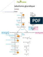 Métabolisme Des Glucides Fiche PDF