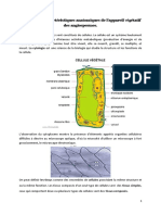 Cours D'anatomie Végétale