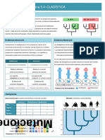 5.4 Cladistics