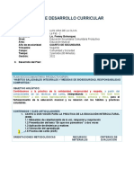 PDC Didactica Lic Olivio Correciones Con Borde Amarillo