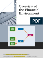 Overview of The Financial Environment